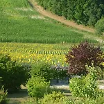 Petit Menot * Salles-Lavalette