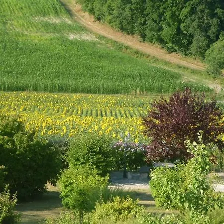 Petit Menot * Salles-Lavalette
